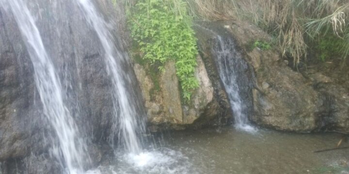 daa9d8a7d8b1d988d8a7d986d8afd8b1 d8acd8a7d8b0d8a8d987 d8b2db8cd8a8d8a7db8c daafd8b1d8afd8b4daafd8b1db8c d8aed8a7d8b4 6926d5a0f1928