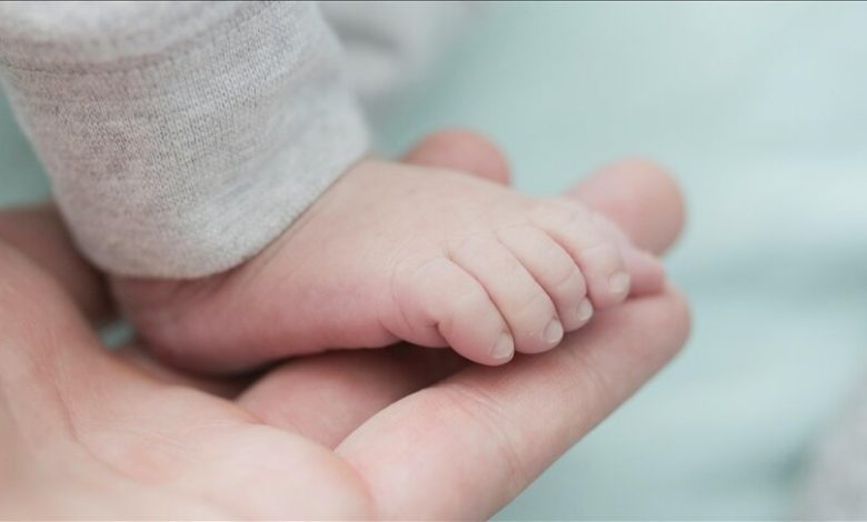 کاهش باروری جهانی زنگ خطر را به صدا درآورد 1 daa9d8a7d987d8b4 d8a8d8a7d8b1d988d8b1db8c d8acd987d8a7d986db8c d8b2d986daaf d8aed8b7d8b1 d8b1d8a7 d8a8d987 d8b5d8afd8a7 d8afd8b1d8a2d988 69259a837fa2d