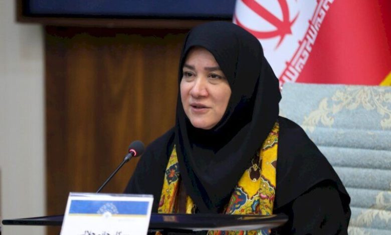 کرمان، مهد زیبایی و دیپلماسی فرهنگی/زنان، قلب تپنده توسعه شفیعآباد 1 daa9d8b1d985d8a7d986d88c d985d987d8af d8b2db8cd8a8d8a7db8cdb8c d988 d8afdb8cd9bed984d985d8a7d8b3db8c d981d8b1d987d986daafdb8c d8b2d986 6926660b8e3d6