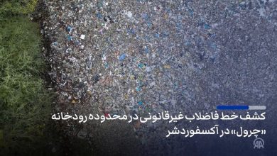 daa9d8b4d981 d8b5d8afd987d8a7 d8aad98fd986 d8b2d8a8d8a7d984d987 d8afd8b1 d985d8add8afd988d8afd987 d8b1d988d8afd8aed8a7d986d987 6922f96976c6b