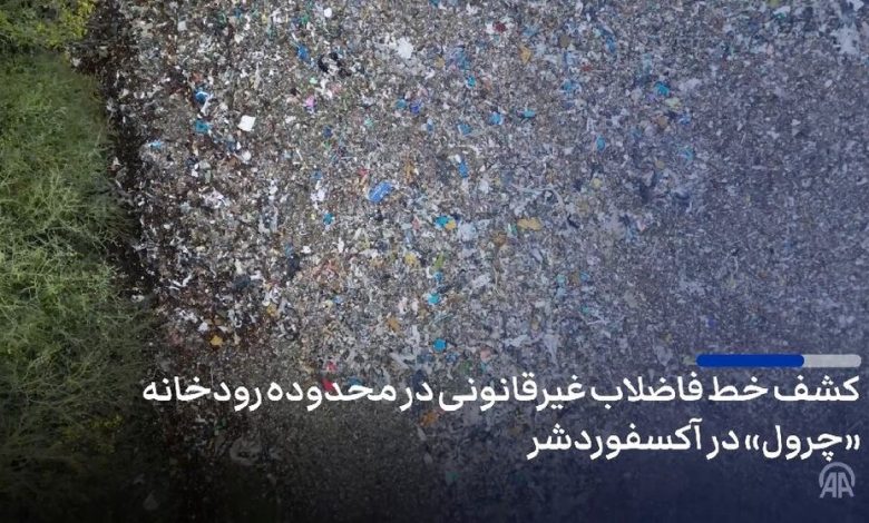 daa9d8b4d981 d8b5d8afd987d8a7 d8aad98fd986 d8b2d8a8d8a7d984d987 d8afd8b1 d985d8add8afd988d8afd987 d8b1d988d8afd8aed8a7d986d987 6922f96976c6b