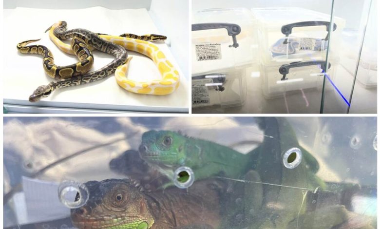 daa9d8b4d981 d988 d8b6d8a8d8b7 dbb1dbb3 daafd988d986d987 d8badb8cd8b1d985d8acd8a7d8b2 d8addb8cd8a7d8aa d988d8add8b4 d8afd8b1 db8c 692587a82c1f6