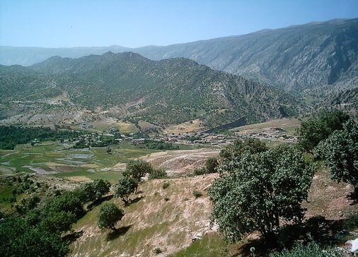 کلم، روستایی با طعم شکوفه و خاطره در بدره