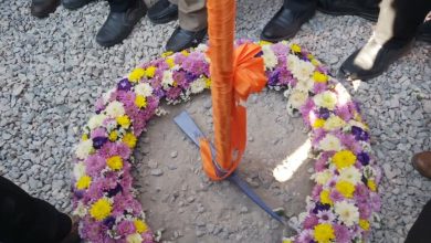 daa9d984d986daafd8b2d986db8c d985d8acd985d988d8b9d987 daafd8b1d8afd8b4daafd8b1db8c d8afd8b1 d9bed8a7d8b1daa9 d8a8d8a7d8b2d8b3d8a7 69270ca20ff2c