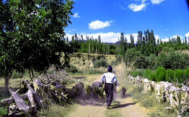 کوهسرخ؛ سرزمین فرصتهای بکر و ظرفیتهای مغفول مانده 4 کوهسرخ؛ سرزمین فرصتهای بکر و ظرفیتهای مغفول مانده