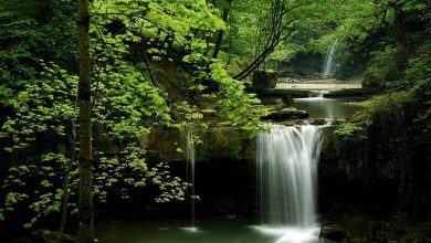 daafd8b1d8afd8b4daafd8b1db8c d8afd8b1 d8b4d987d8b1 d8a8d987d8a7d8b1 d986d8a7d8b1d986d8ac 6926d1a2ca30a