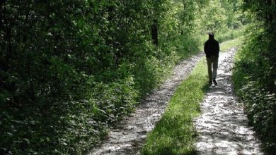 daafd8b1d8afd8b4daafd8b1db8cd88c d8b1d8a7d987db8c d8b7d8a8db8cd8b9db8c d8a8d8b1d8a7db8c d985d8a8d8a7d8b1d8b2d987 d8a8d8a7 d8a7d981d8b3 692698bc3a4ca