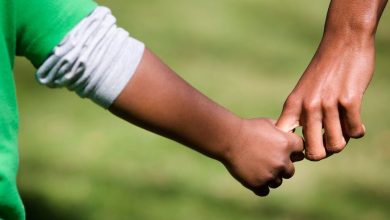 daafd8b2d8a7d8b1d8b4 d8acd8afdb8cd8afdb8c d8afd8b1 d985d988d8b1d8af d8aad8a8d8b9db8cd8b6 d8b9d984db8cd987 daa9d988d8afdaa9d8a7d986 d8b3 6924a50b3ffa9