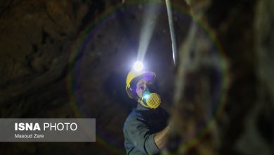 daafd8b3d8aad8b1d8b4 d986daafd8b1d8a7d986daa9d986d986d8afd987 d8b1d988d986d8af d8a8d8a7d8b2d986d8b4d8b3d8aadaafdb8c d8b2d988d8af 69249d76ea1b3