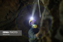 daafd8b3d8aad8b1d8b4 d986daafd8b1d8a7d986daa9d986d986d8afd987 d8b1d988d986d8af d8a8d8a7d8b2d986d8b4d8b3d8aadaafdb8c d8b2d988d8af 69249d7754a7f