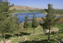 dbb1dbb0 d9bed8b1d988da98d987 daafd8b1d8afd8b4daafd8b1db8c d8afd8b1 d8add8a7d8b4db8cd987 d8b3d8af d8b4db8cd8a7d986 d8a7d8acd8b1d8a7 d985 6926a9195004c