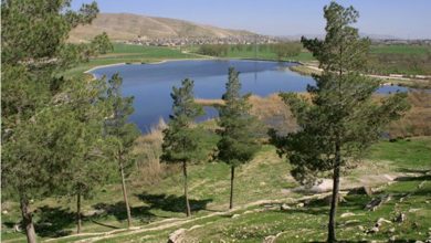 ۱۰ پروژه گردشگری در حاشیه سد شیان اجرا میشود 5 dbb1dbb0 d9bed8b1d988da98d987 daafd8b1d8afd8b4daafd8b1db8c d8afd8b1 d8add8a7d8b4db8cd987 d8b3d8af d8b4db8cd8a7d986 d8a7d8acd8b1d8a7 d985 6926a9195004c