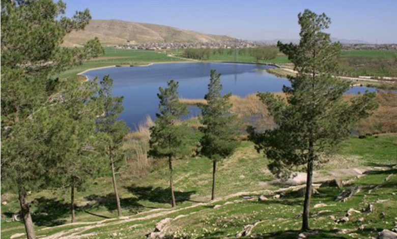 ۱۰ پروژه گردشگری در حاشیه سد شیان اجرا میشود 1 dbb1dbb0 d9bed8b1d988da98d987 daafd8b1d8afd8b4daafd8b1db8c d8afd8b1 d8add8a7d8b4db8cd987 d8b3d8af d8b4db8cd8a7d986 d8a7d8acd8b1d8a7 d985 6926a9195004c