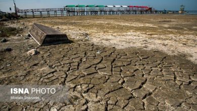 dbb1dbb4dbb0dbb4 daa9d985 d8a8d8a7d8b1d8b4d8aad8b1db8cd986 d8b3d8a7d984 d986db8cd985 d982d8b1d986 daafd8b0d8b4d8aad987 d8a7d8b3 69242ecbae147