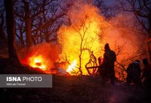 dbb8dbb0 d8afd8b1d8b5d8af d8a2d8aad8b4d8b3d988d8b2db8c d8acd986daafd984d987d8a7db8c d987db8cd8b1daa9d8a7d986db8c d985d987 6922e7c0e6aa4