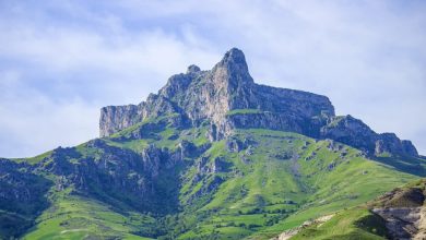 d8a7d8b1d8a7d8a6d987 d985d8b4d988d982d987d8a7 d988 d8add985d8a7db8cd8aa d8a7d8b2 d8b3d8b1d985d8a7db8cd987daafd8b0d8a7d8b1 69507dab22795