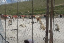 d8a7d8b3d8aad982d8b1d8a7d8b1 daa9d984db8cd986db8cdaa9d987d8a7db8c d8b3db8cd8a7d8b1 d8b9d982db8cd985d8b3d8a7d8b2db8c d8b3 693932fb3d294