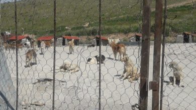 d8a7d8b3d8aad982d8b1d8a7d8b1 daa9d984db8cd986db8cdaa9d987d8a7db8c d8b3db8cd8a7d8b1 d8b9d982db8cd985d8b3d8a7d8b2db8c d8b3 693932fb3d294