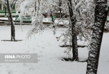 d8a8d8a7d8b1d8b4 d8a8d8b1d981 d9bed8a7db8cdb8cd8b2db8c d985d8b4d987d8af 6943db0b8f7a1