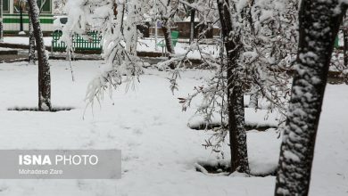 بارش برف پاییزی - مشهد 4 d8a8d8a7d8b1d8b4 d8a8d8b1d981 d9bed8a7db8cdb8cd8b2db8c d985d8b4d987d8af 6943db0b8f7a1
