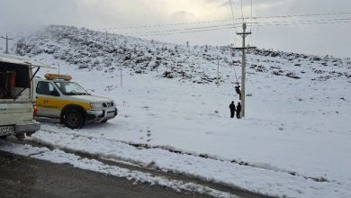 d8a8d8b1d981d8b1d988d8a8db8c dbb9dbb0 d987d8b2d8a7d8b1 daa9db8cd984d988d985d8aad8b1 d8acd8a7d8afd987 d988 d8a7d985d8afd8a7d8af 693d7bcc628d9