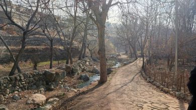 d8a8d8b1daafd8b2d8a7d8b1db8c d8b1d988db8cd8afd8a7d8afd987d8a7db8c d988d8b1d8b2d8b4db8c d8afd8b1 d8b1d988d8af d8afd8b1d987 d981d8b1d8ad 6941389a43fc0