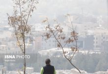 d8aad8afd8a7d988d985 d8a2d985d988d8b2d8b4 d985d8acd8a7d8b2db8c d8afd8a7d986d8b4daafd8a7d987d987d8a7 d988 d985d8afd8a7d8b1d8b3 692daa23097bf