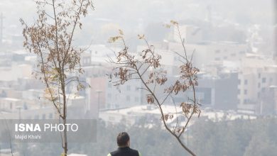 d8aad8afd8a7d988d985 d8a2d985d988d8b2d8b4 d985d8acd8a7d8b2db8c d8afd8a7d986d8b4daafd8a7d987d987d8a7 d988 d985d8afd8a7d8b1d8b3 692daa23097bf