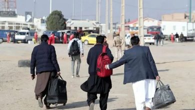 d8aed8b1d988d8ac dbb1 dbb6 d985db8cd984db8cd988d986 d8aad8a8d8b9d987 d8badb8cd8b1d982d8a7d986d988d986db8c d988 d8aad8a3d8abdb8cd8b1 d8a2 694a919ddf50a