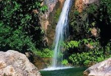 d8b3d8b1d8a7d8a8d8a8d8a7d8bad89b d986daafdb8cd986 d8b3d8a8d8b2 d8b4d8b1d982 d8a2d8a8d8afd8a7d986d8a7d986 d8afd8b1 d985d8b3db8c 692e392f0aaa7