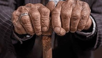 d8bad981d984d8aa d988 d8a2d8b2d8a7d8b1 d8acd8b3d985db8cd89b d8a8db8cd8b4d8aad8b1db8cd986 d8b3d8a7d984d985d986d8afd8a2d8b2d8a7d8b1db8c 692d3bd4b8b92