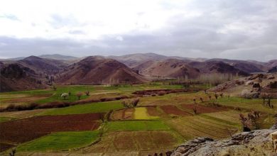 فرماندار کوهسرخ: کشاورزی سنتی، منجر به هدر رفت شدید آب شده است 6 d981d8b1d985d8a7d986d8afd8a7d8b1 daa9d988d987d8b3d8b1d8ae daa9d8b4d8a7d988d8b1d8b2db8c d8b3d986d8aadb8cd88c d985d986d8acd8b1 d8a8d987 6938c300e06ed