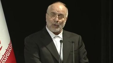 d982d8a7d984db8cd8a8d8a7d981 d8b2d986 d985d8b9d985d8a7d8b1 d8aad985d8afd986 d988 d985d8add988d8b1 d8aad8b1d8a8db8cd8aa d8a7d8b3d8aa 692d90d67c100