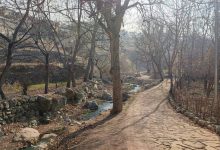 d982d8b1d8a7d8b1daafd8a7d987 daa9d988d987d8b3d8aad8a7d986 d8afd8b1 d8b1d988d8afd8afd8b1d987 d981d8b1d8add8b2d8a7d8af d8b1d8a7d987 69492107548fd