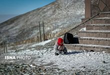 d987d8b4d8afd8a7d8b1 d8acd8afdb8c db8cdaa9 d9bed8b2d8b4daa9d89b d8a8d8b1d8afd986 daa9d988d8afdaa9d8a7d986 d8a8d987 d8a7db8cd8b3d8aadaaf 693e5f78947ec