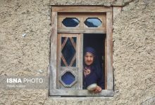 d987d8b4d8afd8a7d8b1 d8afd8b1d8a8d8a7d8b1d987 d8b3d8a7d984d985d986d8afdb8c d8b4d8aad8a7d8a8d8a7d986 d8a7db8cd8b1d8a7d986 d8a8d8add8b1 6947eeccd65b5