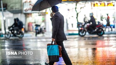 d987d8b4d8afd8a7d8b1 d987d988d8a7d8b4d986d8a7d8b3db8c d986d8b3d8a8d8aa d8a8d987 d8a8d8a7d8b1d8b4 d988 d8b3d8b1d985d8a7 d8afd8b1 d8aad987 692ec2fe85762