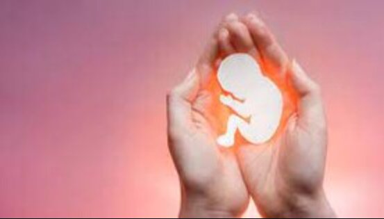 چالشهای جوانی جمعیت؛ از کاهش ازدواج تا سقط جنین 1 da86d8a7d984d8b4d987d8a7db8c d8acd988d8a7d986db8c d8acd985d8b9db8cd8aad89b d8a7d8b2 daa9d8a7d987d8b4 d8a7d8b2d8afd988d8a7d8ac 693abf9802b86