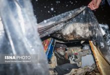 daafd8b1d985d8aed8a7d986d987 d8b3d8a8d8b2 d985d8b4d987d8af 694413423bec7