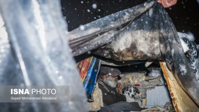 گرمخانه سبز مشهد 7 daafd8b1d985d8aed8a7d986d987 d8b3d8a8d8b2 d985d8b4d987d8af 694413423bec7