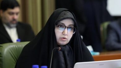 d8a7d986d8aad982d8a7d8af d8a7d8b2 d8b2db8cd8a7d986 d8a7d986d8a8d8a7d8b4d8aad987 d8afd8b1 d8b4d8b1daa9d8aa d987d985d8b4d987d8b1db8c d8a7 695ccc1d1f5d7