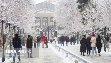 d8aad987d8b1d8a7d986 d8afd8b1 d8a7d986d8aad8b8d8a7d8b1 d8a8d8a7d8b1d8b4 d8a8d8b1d981 d988 d8a8d8a7d8b1d8a7d986 d988 daa9d8a7d987d8b4 6979e7b621eda