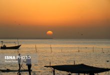 d8acd8b4d986d988d8a7d8b1d987 d981d8b1d987d986daafdb8c daafd8b1d8afd8b4daafd8b1db8c d8aed988d8a7d8acd987 d8b9d8b7d8a7 821 6958664a0c029