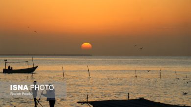 d8acd8b4d986d988d8a7d8b1d987 d981d8b1d987d986daafdb8c daafd8b1d8afd8b4daafd8b1db8c d8aed988d8a7d8acd987 d8b9d8b7d8a7 821 6958664a0c029