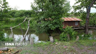 d8aed985d8a7d985d89b d986daafdb8cd986db8c d8b3d8b1d8b3d8a8d8b2 d8a8d8a7 d982d8afd985d8aadb8c d8afdb8cd8b1db8cd986d987 d8afd8b1 d8afd984 695c5ad6a1eea