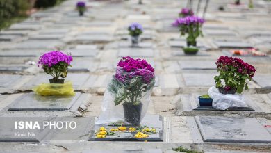 d988d8b9d8afd987 d8a7d8b3d8aad8a7d986d8afd8a7d8b1db8c d8aad987d8b1d8a7d986 d8a8d8b1d8a7db8c d9bedb8cdaafdb8cd8b1db8c d985d988d8a7d986 6956501c77447