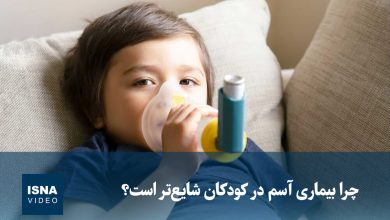 d988db8cd8afdb8cd988 da86d8b1d8a7 d8a8db8cd985d8a7d8b1db8c d8a2d8b3d985 d8afd8b1 daa9d988d8afdaa9d8a7d986 d8b4d8a7db8cd8b9d8aa 6957c04a2b37b