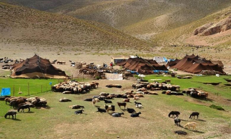 گردشگری عشایر پتانسیلی مغفول مانده در شهرهای خراسان رضوی 1 daafd8b1d8afd8b4daafd8b1db8c d8b9d8b4d8a7db8cd8b1 d9bed8aad8a7d986d8b3db8cd984db8c d985d8bad981d988d984 d985d8a7d986d8afd987 d8afd8b1 697021f6d8ff8