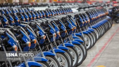 dbb8dbb0 d8afd8b1d8b5d8af d985d988d8aad988d8b1d8b3db8cdaa9d984d8aad987d8a7 d981d8b1d8b3d988d8afd987d8a7d986d8af d985d8b5 6979ee2c1eaff