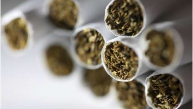 d8a7d8b1d988d9bed8a7 d9bedb8cd8b4d8aad8a7d8b2 d8acd987d8a7d986db8c d985d8b5d8b1d981 d8afd8aed8a7d986db8cd8a7d8aad89b d987d8b4d8afd8a7 69a13fdae6b0f